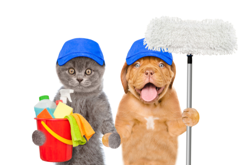 Dog and cat with mop and bucket ready to clean!