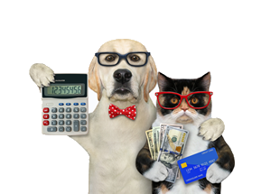 Dog and cat with calculator, credit card and money
