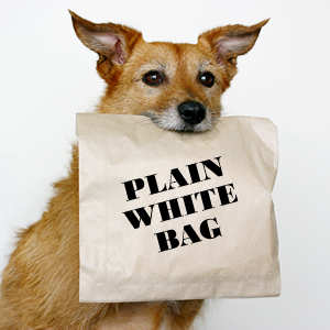 Dog holding plain white bag in mouth