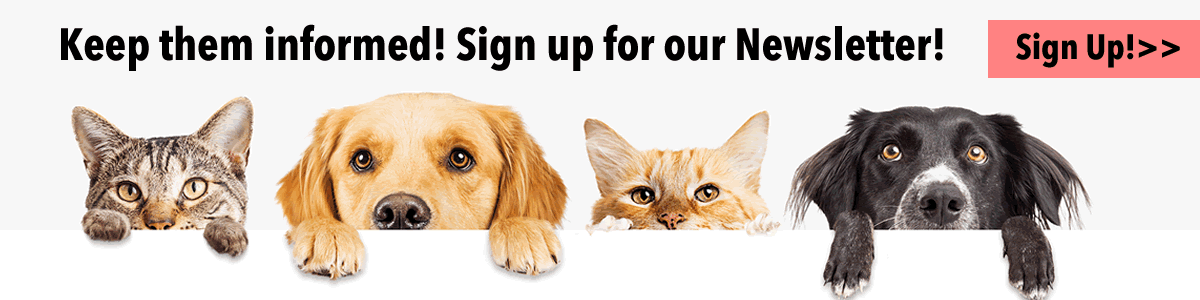 Sign up for our newsletter!